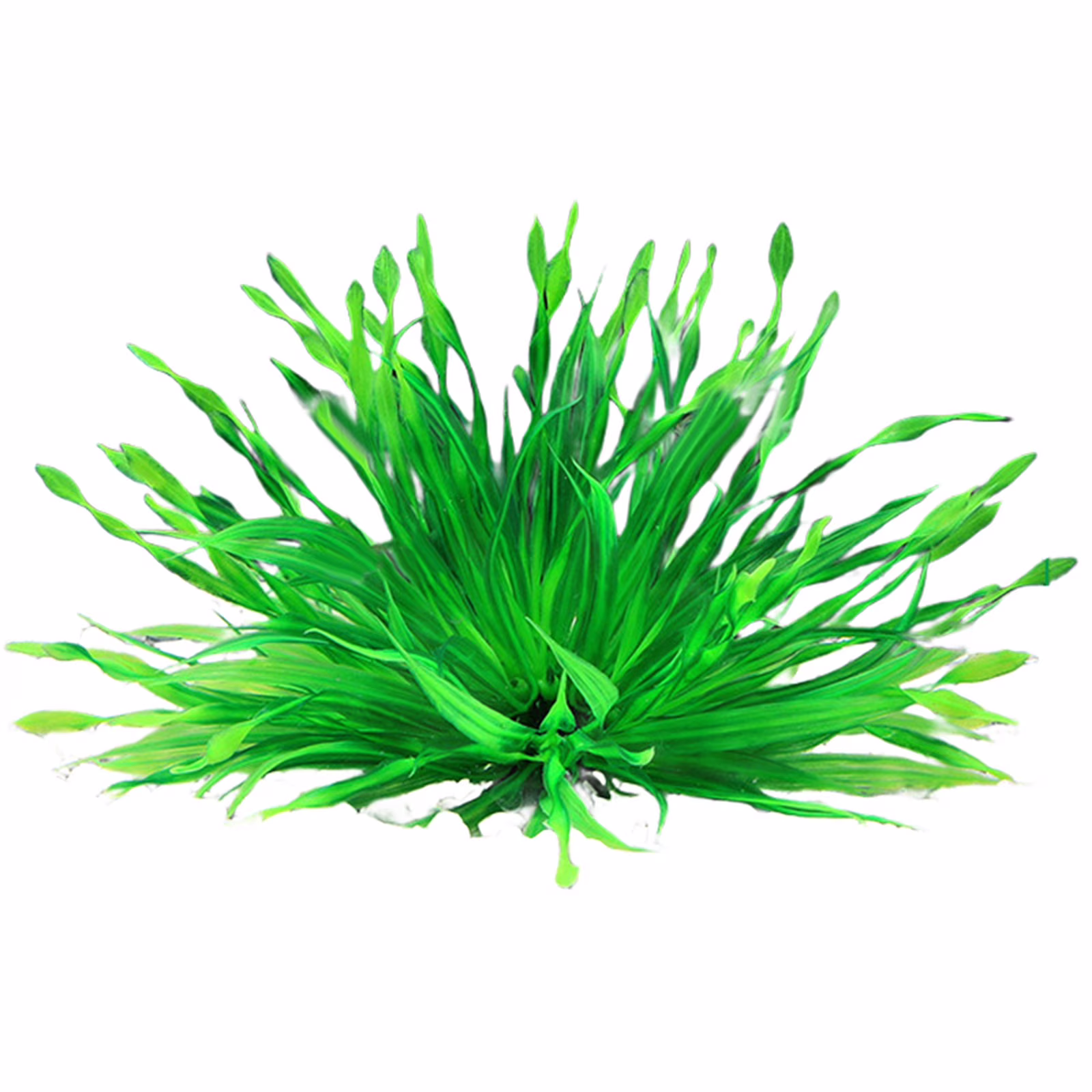 Aquarium Plants on Sale Tanuse Fish Tank Decorations Aquarium Decoration Plastic Aquarium Plants Natural Fish Tank Decorations for Fresh Clearance 1 Piece of Simulated Seaweed for Aquarium