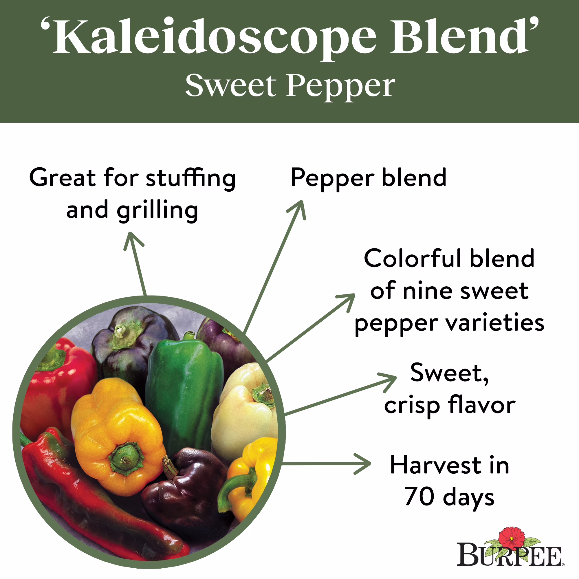 Burpee Kaleidoscope Blend Sweet Pepper Vegetable Seed, 1-Pack
