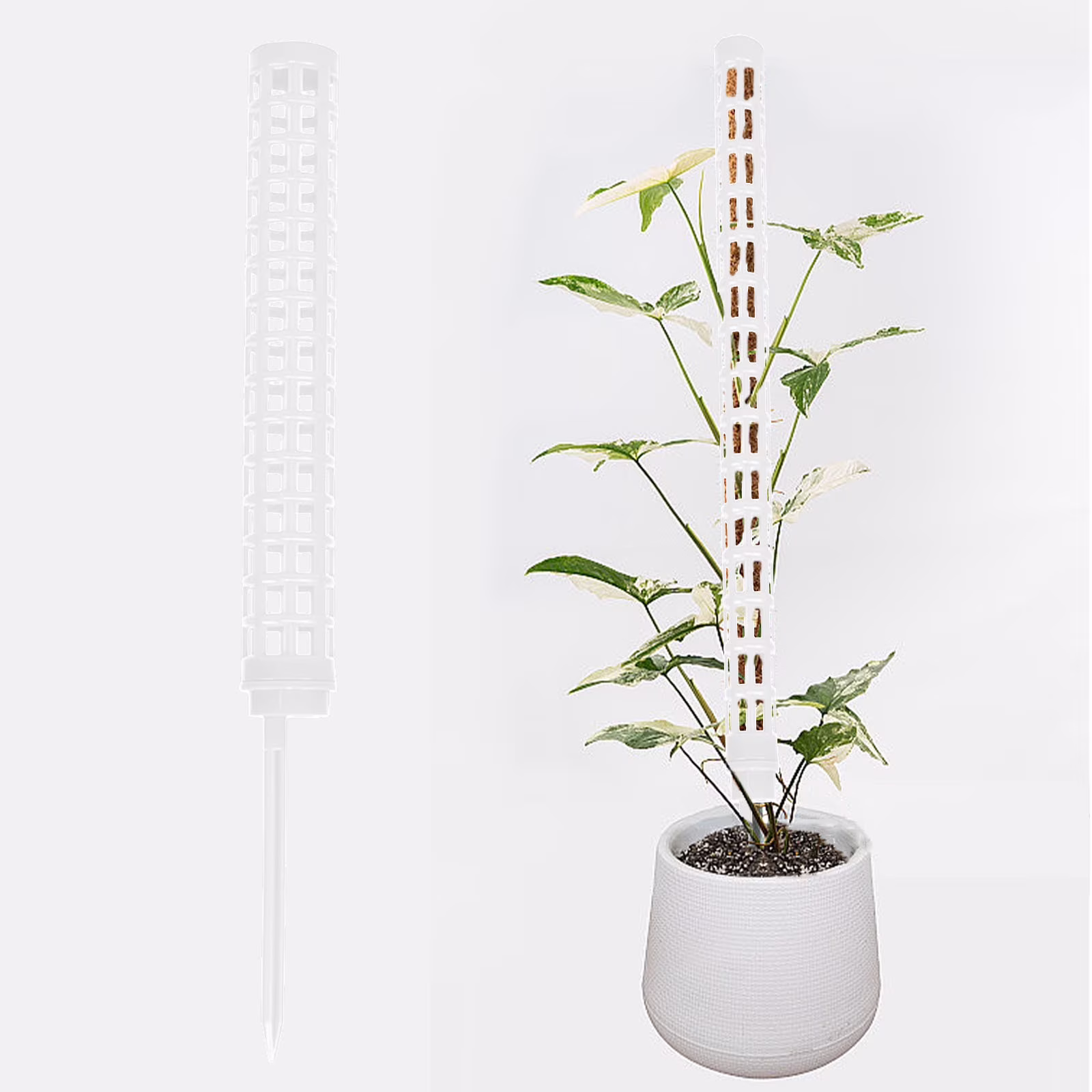 Green Ivy Moss Pole for Climbing Plants 16