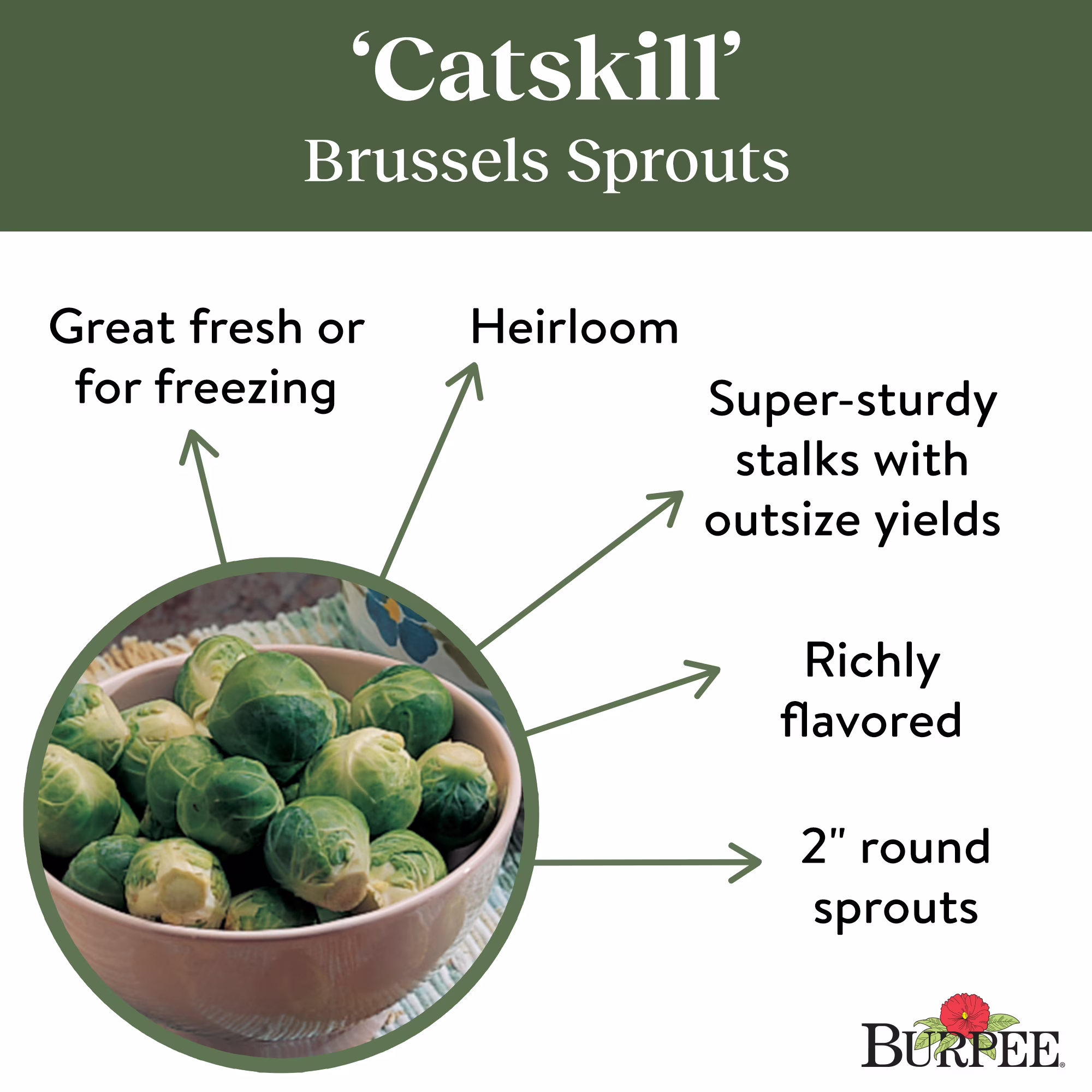 Burpee Catskill Brussels Sprouts Seeds - Heirloom Vegetable Gardening Seeds, 1-Pack