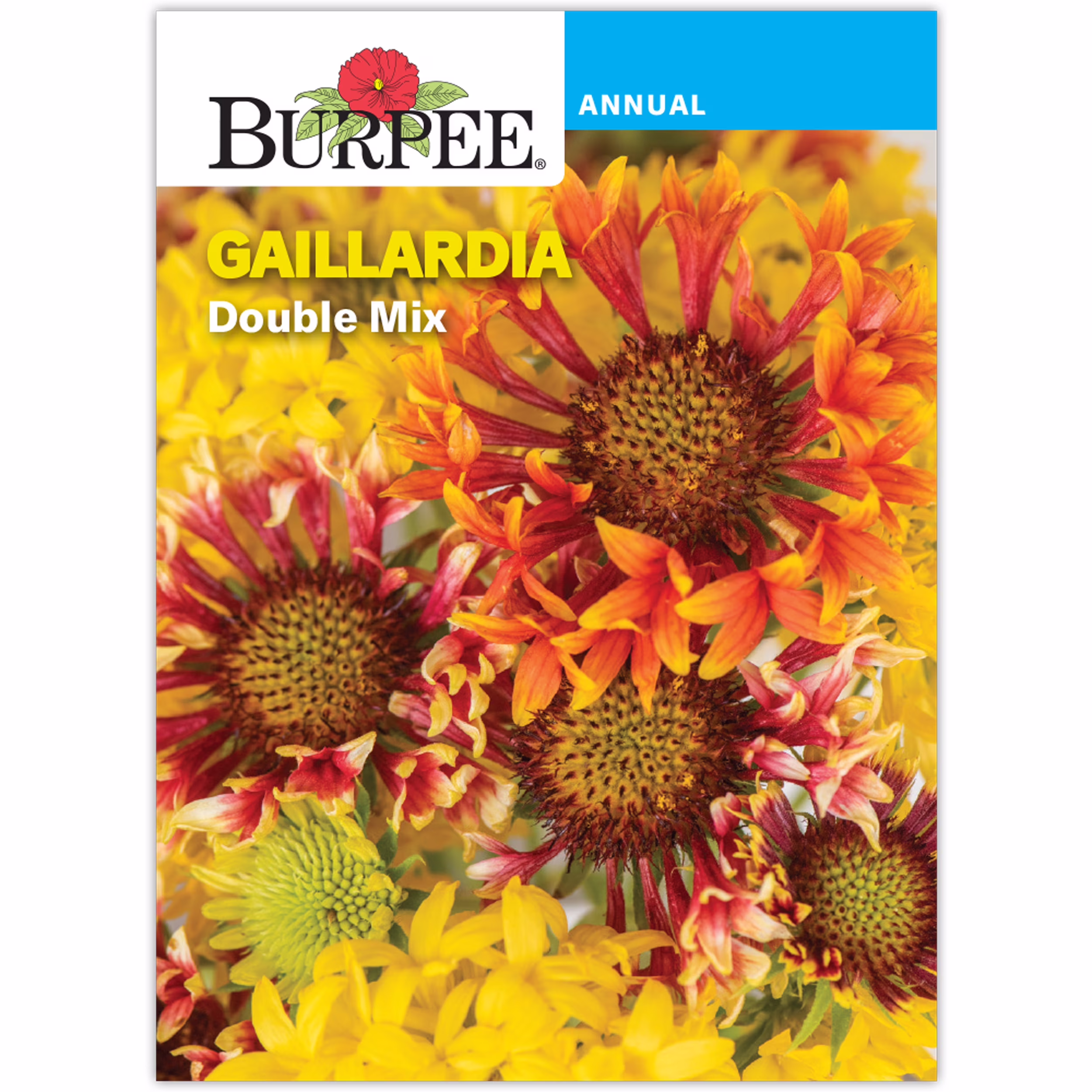 Burpee Double Mix Gaillardia Annual Flower Seed, 1-Pack, Full Sun