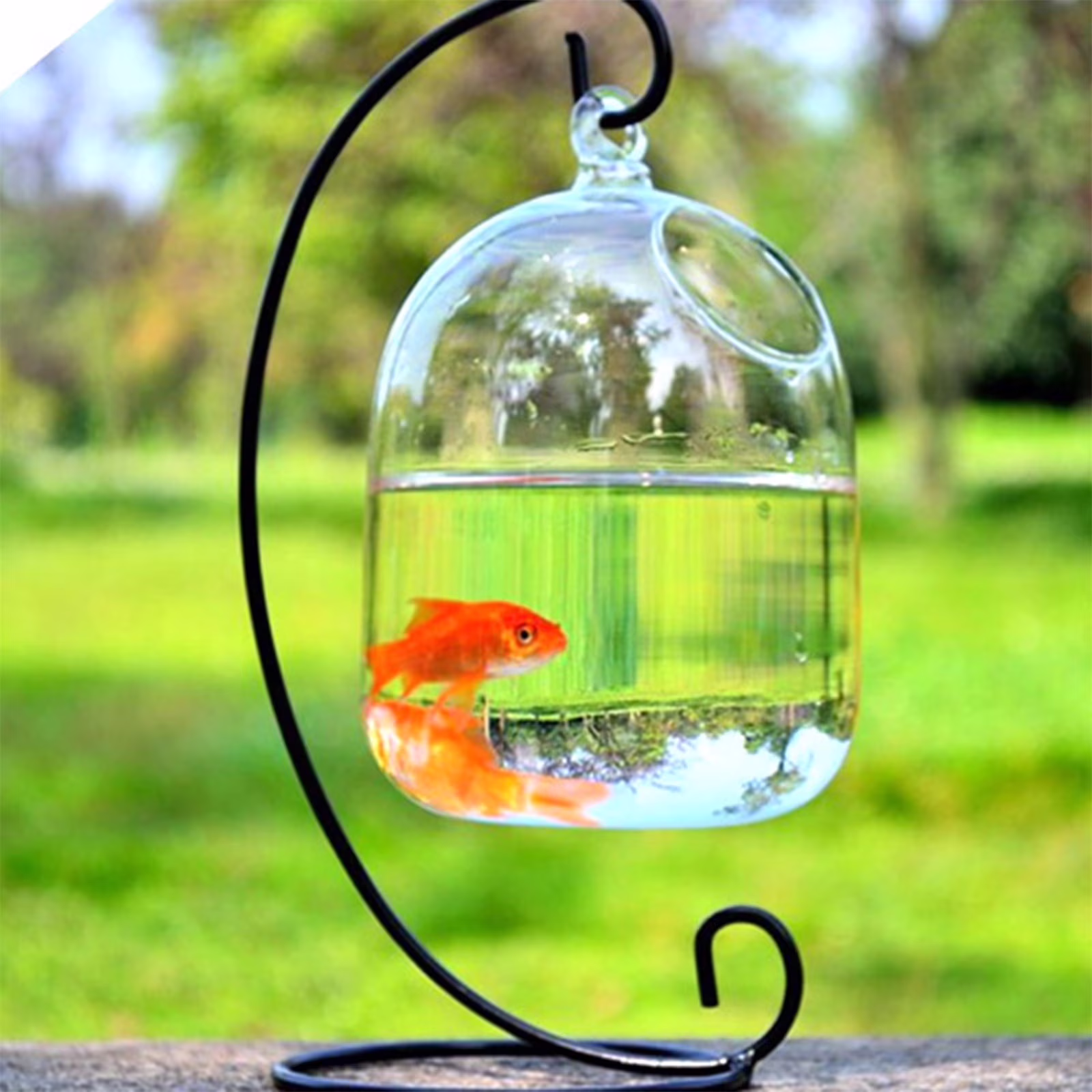 Tucknest Glass Hanging Fish Bowl, 5.9x3.9x3.9 Inch Small Aquarium for Fish, Transparent Wall Fish Tank for Home Decor or Plant Vase