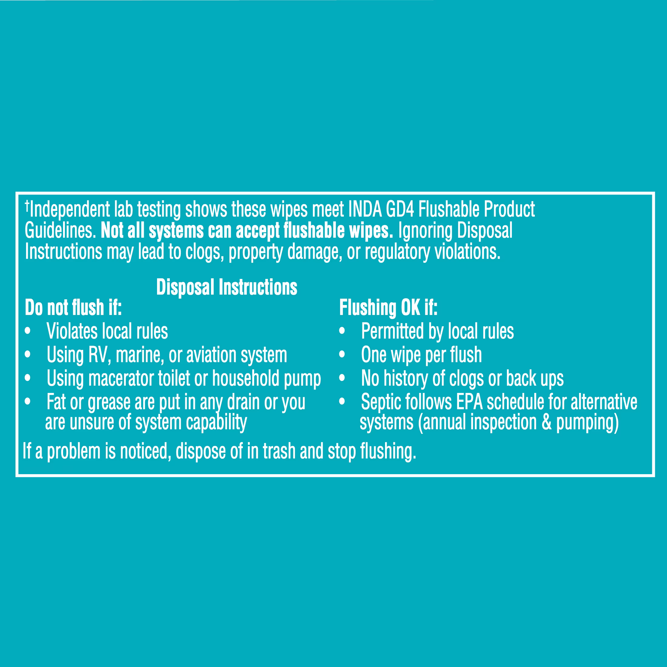 Assurance Large Flushable Wet Wipes, Fragrance Free, 48 Count
