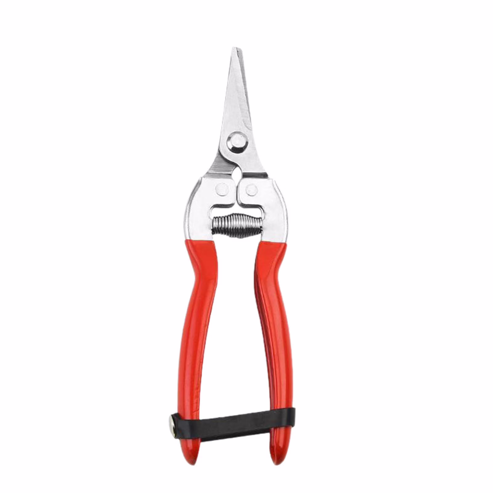 Stainless Steel Garden Pruning Shears - Fruit Picking Scissors for Branch Cutting, Multipurpose Garden Tools