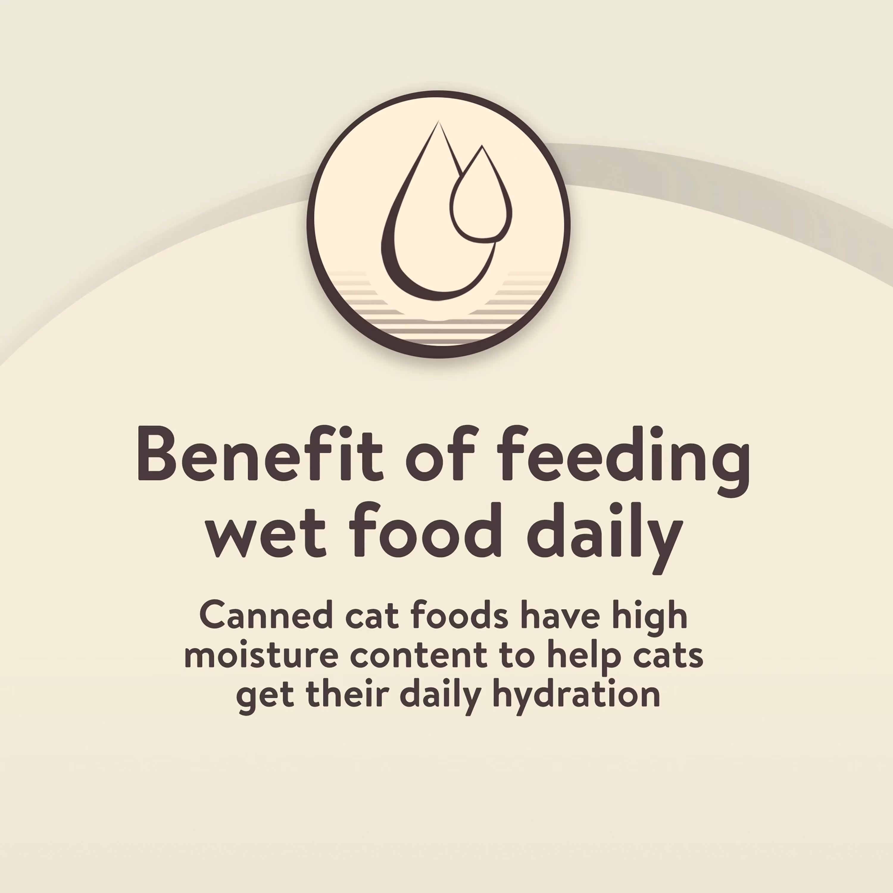 Special Kitty Whitefish & Tuna Dinner Pate Wet Cat Food, 5.5 oz Can
