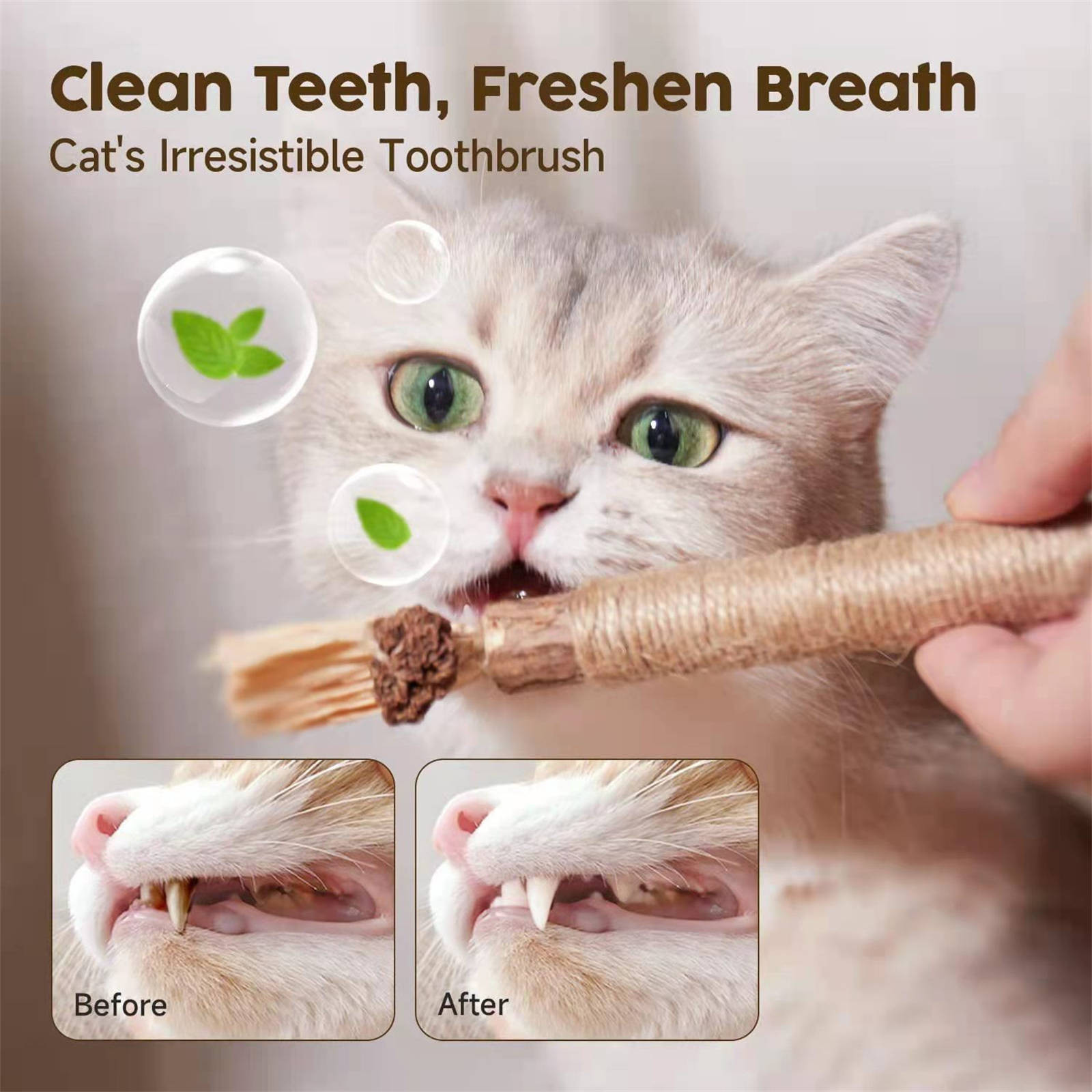 DAMAI Natural Silvervine Dental Sticks, Silvervine Chew Stick Kitten Treat Catnip Toy, Kitty Dental Treat Interactive Toy Kitty Snack Self Play Wand Cat Mint Lick(2 Pcs)