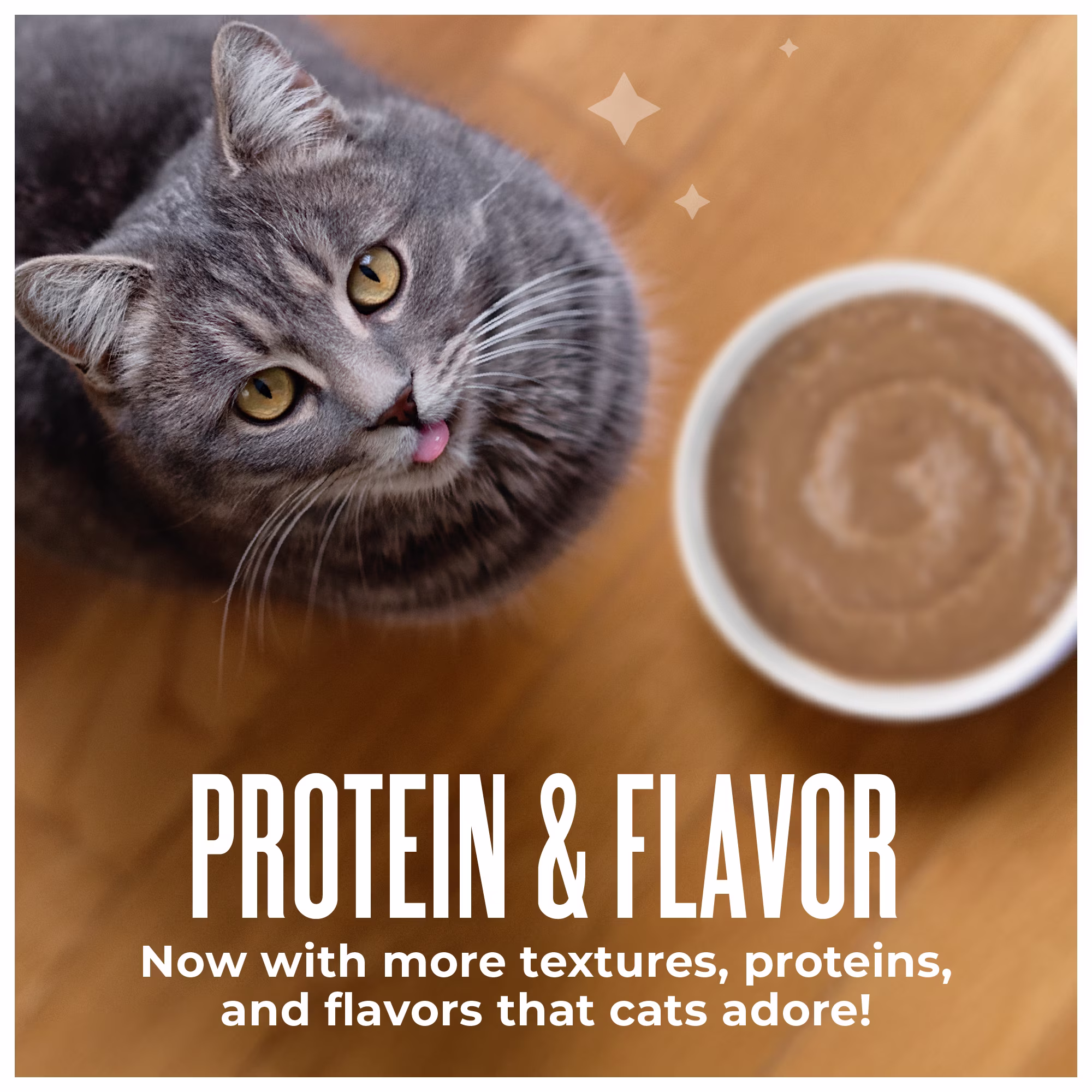 Tiki Cat Friends Mousse Tuna & Pumpkin, 2.8 oz. Pouch