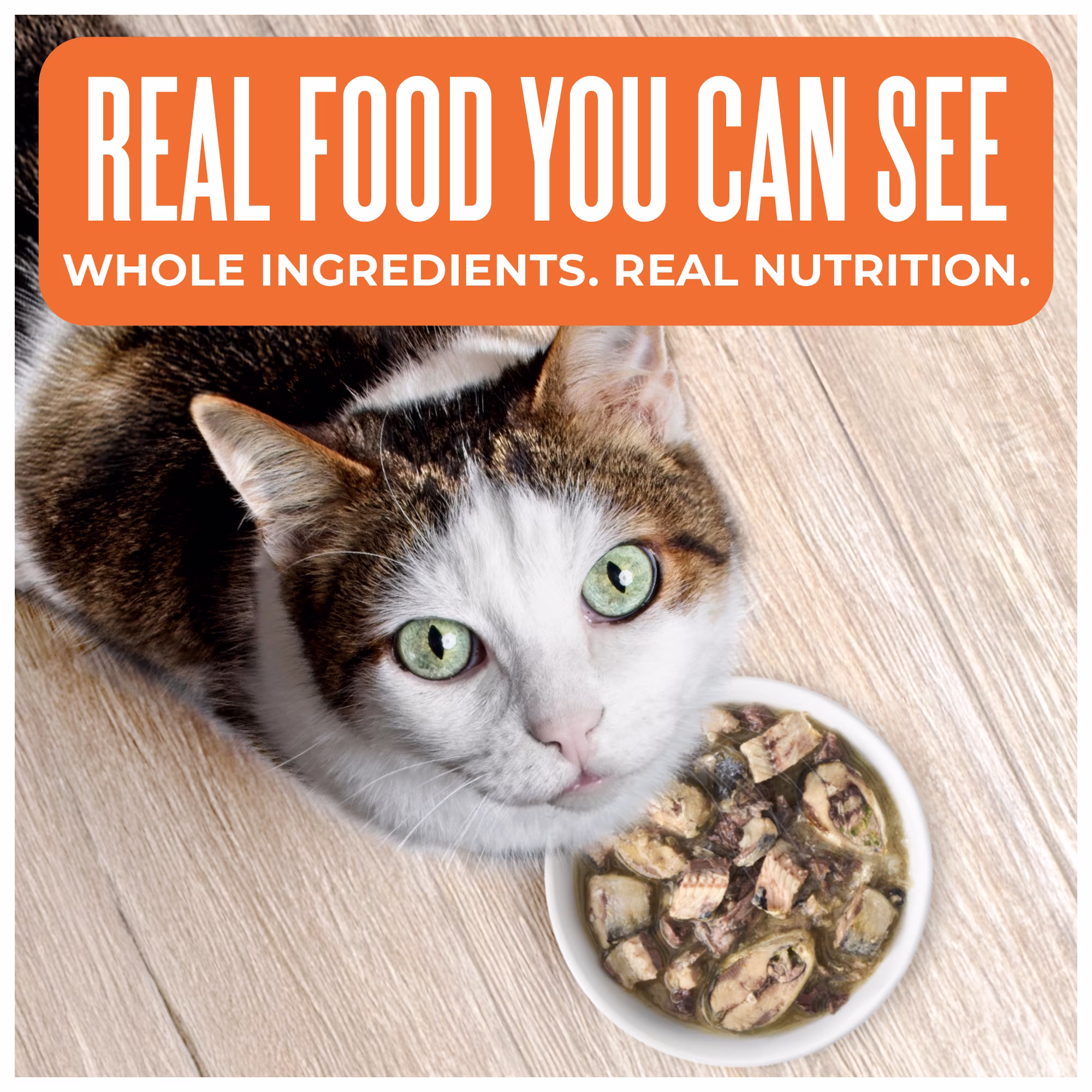 Tiki Cat Born Carnivore Wet Cat Food, Sardine Cutlets Recipe in Broth, 2.4 oz. Can