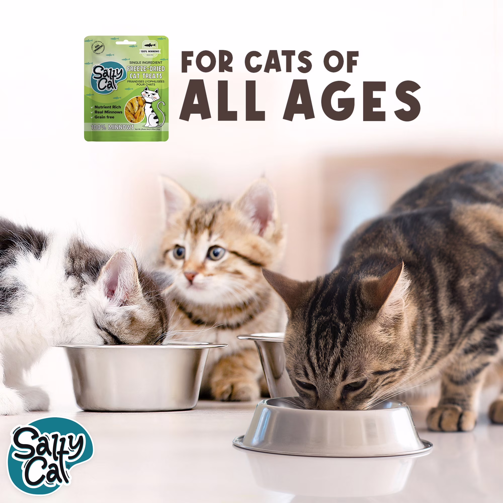 Salty Cat 100% Minnows Freeze-Dried Cat Treats, 10g Pouch