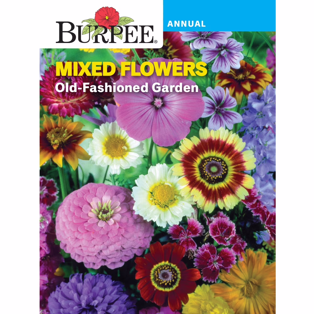 Burpee Old-Fashioned Garden Mixed Flowers, Annual Flower, Full Sun