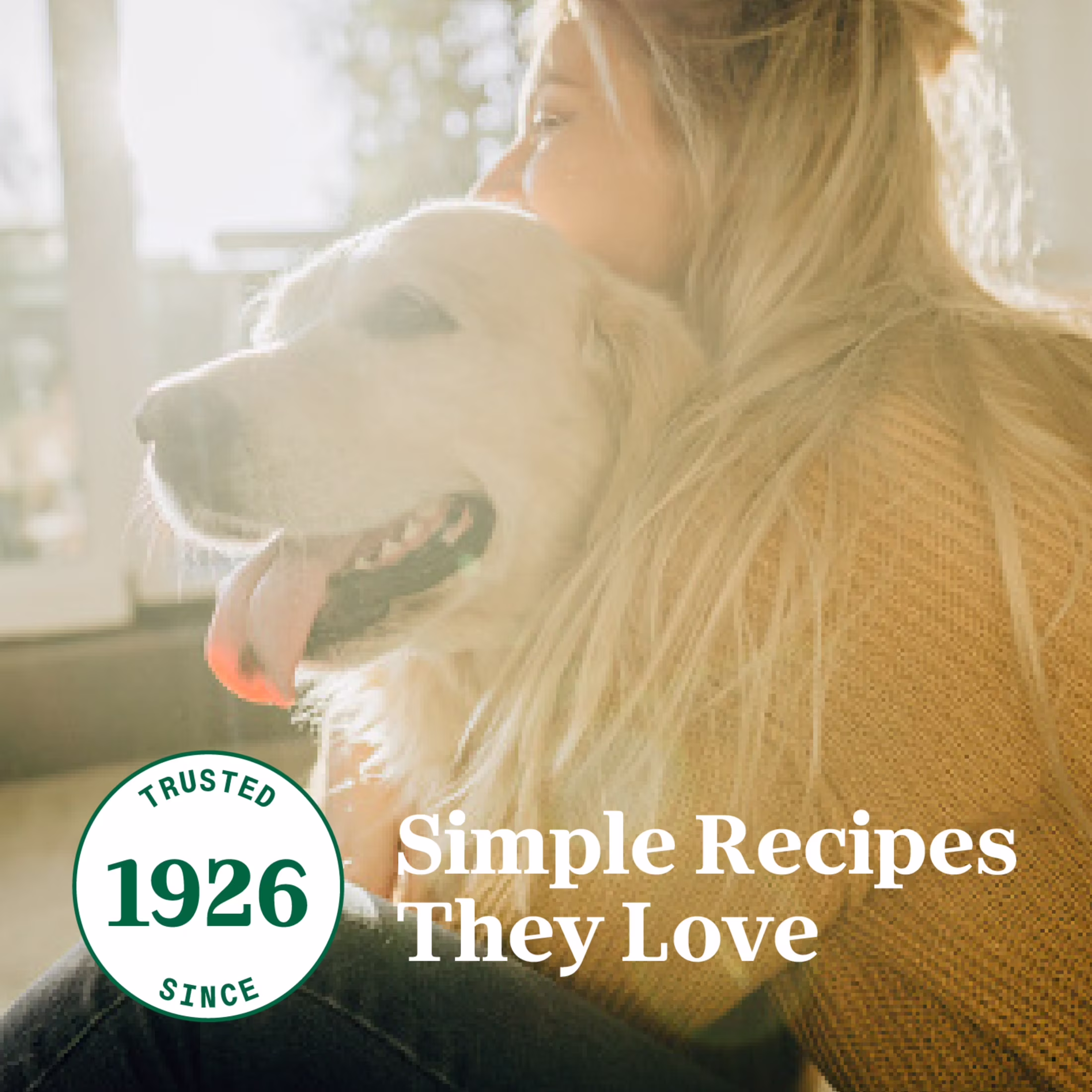 Nutro So Simple Chicken Recipe In Bone Broth Wet Dog Meal Complement, 2 Oz Tray