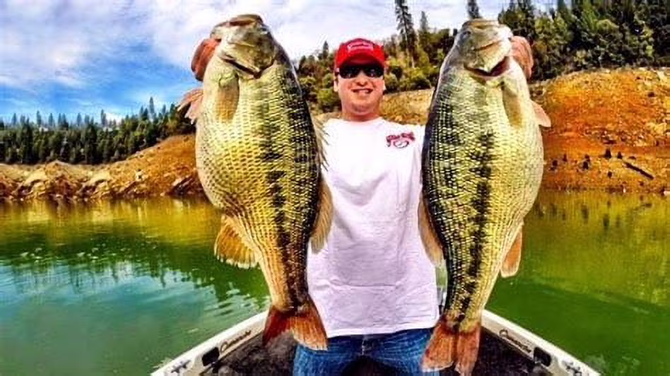 Strike King River Bug