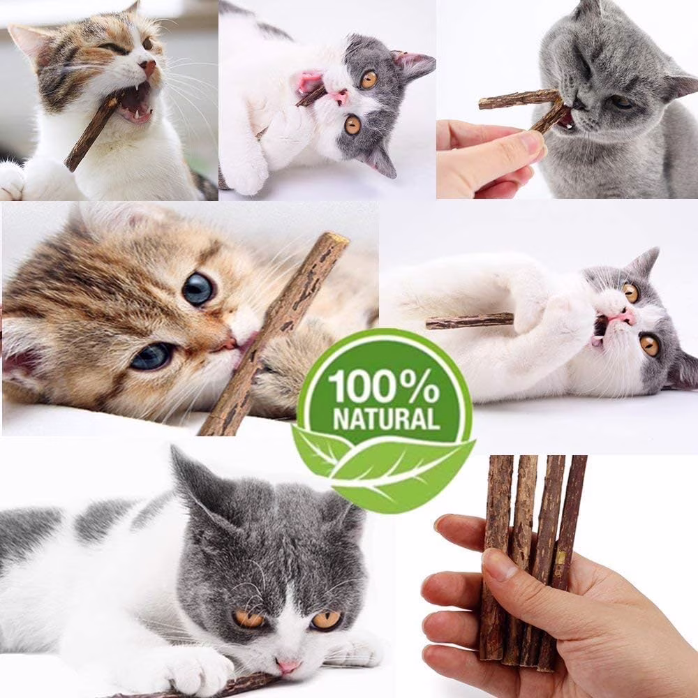 20 PCS Cat Catnip Sticks Natural Matatabi Silvervine Sticks - Cleaning Teeth Molar Tools Kitten Chew Toy Natural Catnip Cats Toy