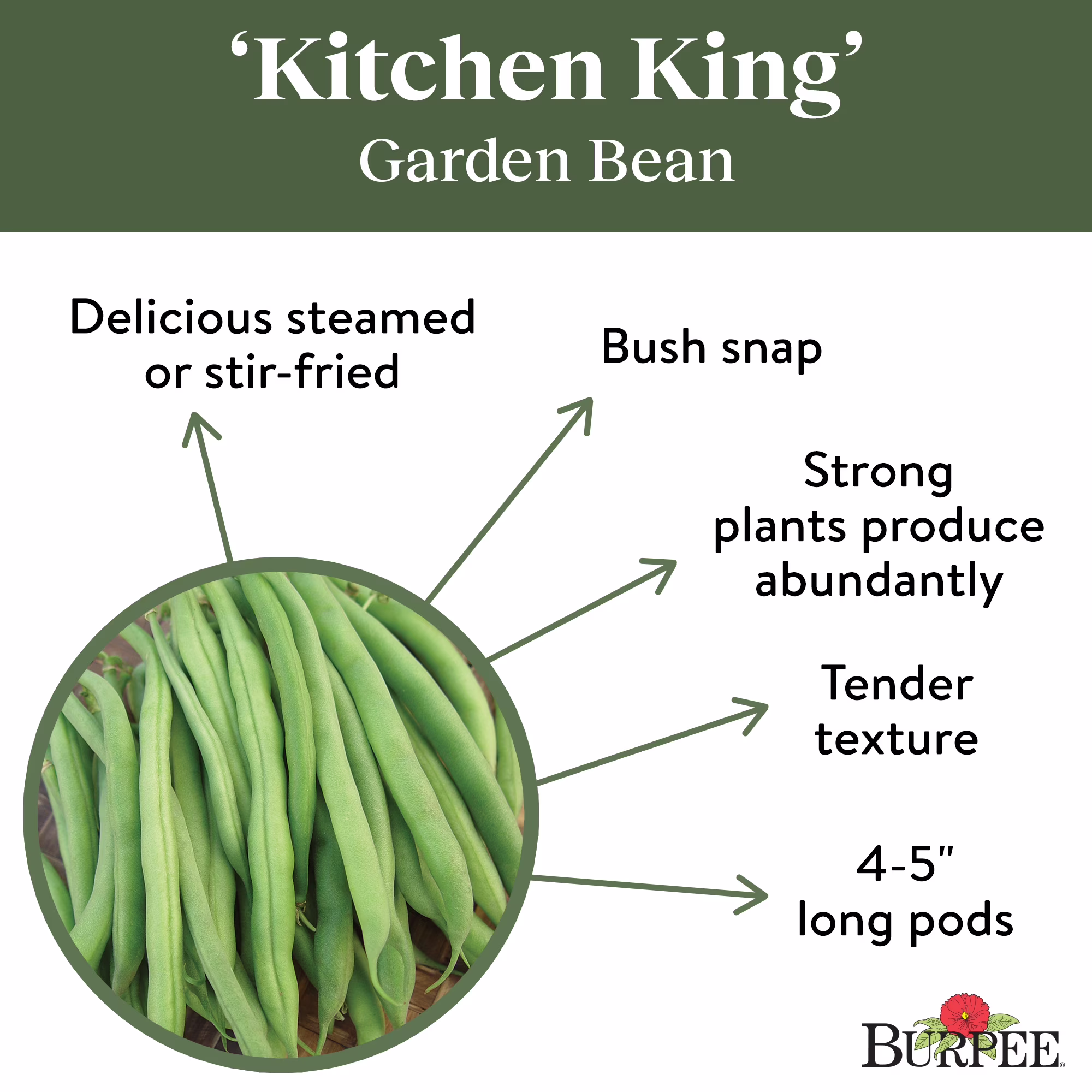 Burpee Kitchen King Garden Bean Seeds - Bush Bean, Vegetable Gardening Seeds, 1-Pack