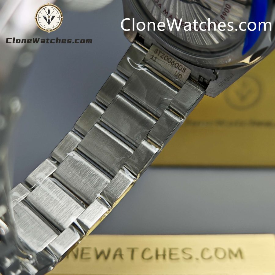 OMEGA Super Clone Watches 1:1 Seamaster AQUA TERRA 150m 220.10.41.21.01.001 41mm