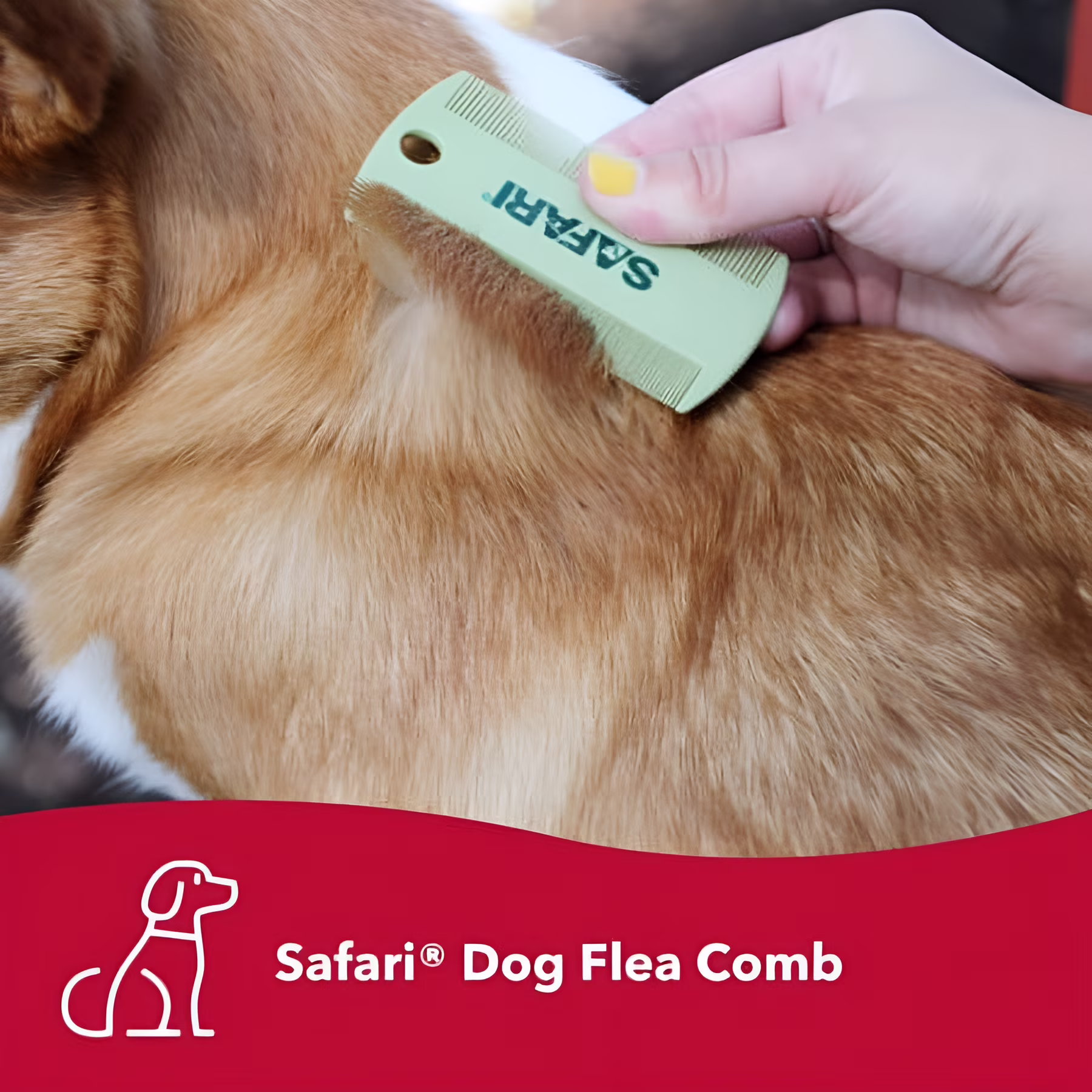 Safari Dog Flea Comb, Double-Sided