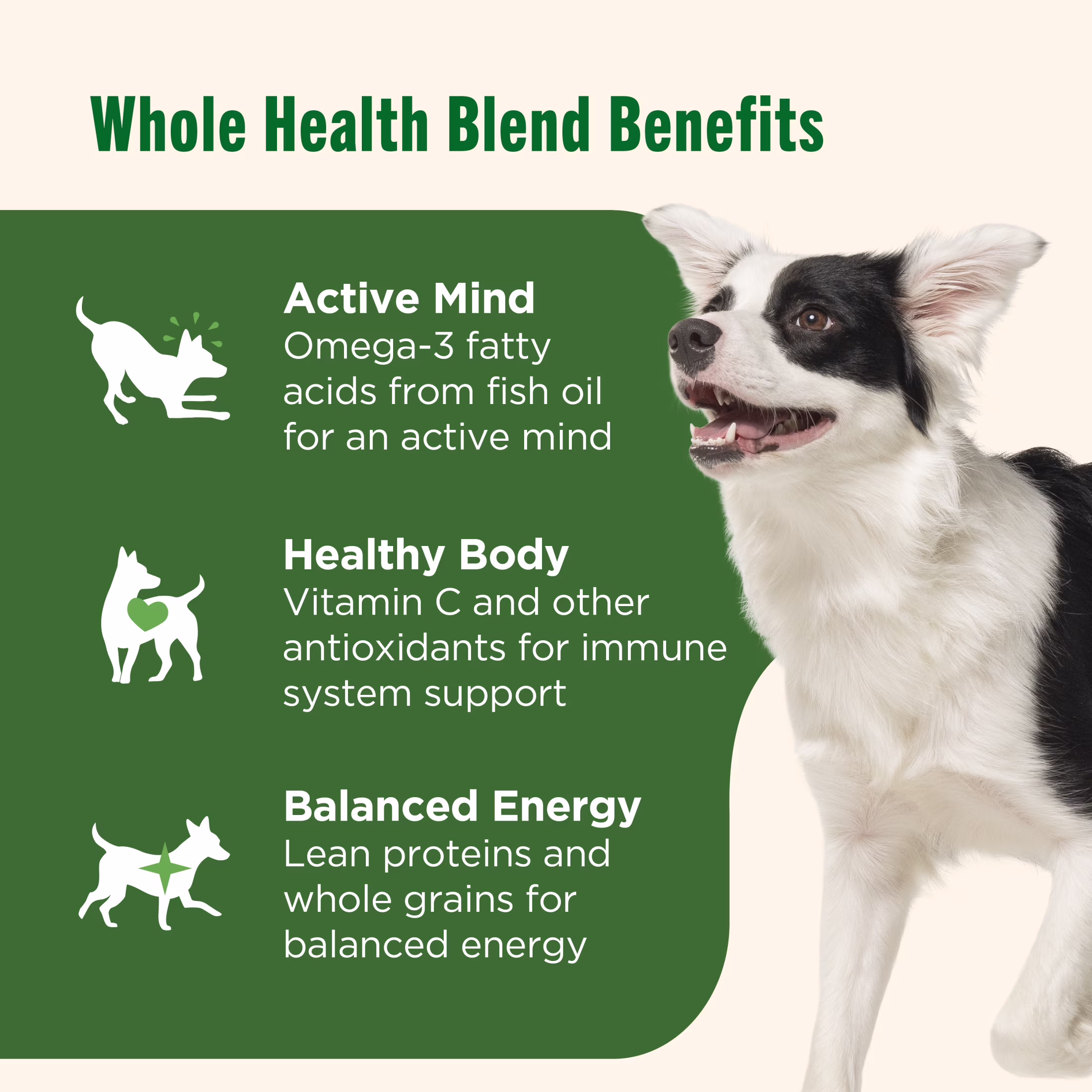 Nutrish Real Chicken & Apple Recipe Whole Health Blend Premium Paté Wet Dog Food, 13 oz. Can (Rachael Ray)