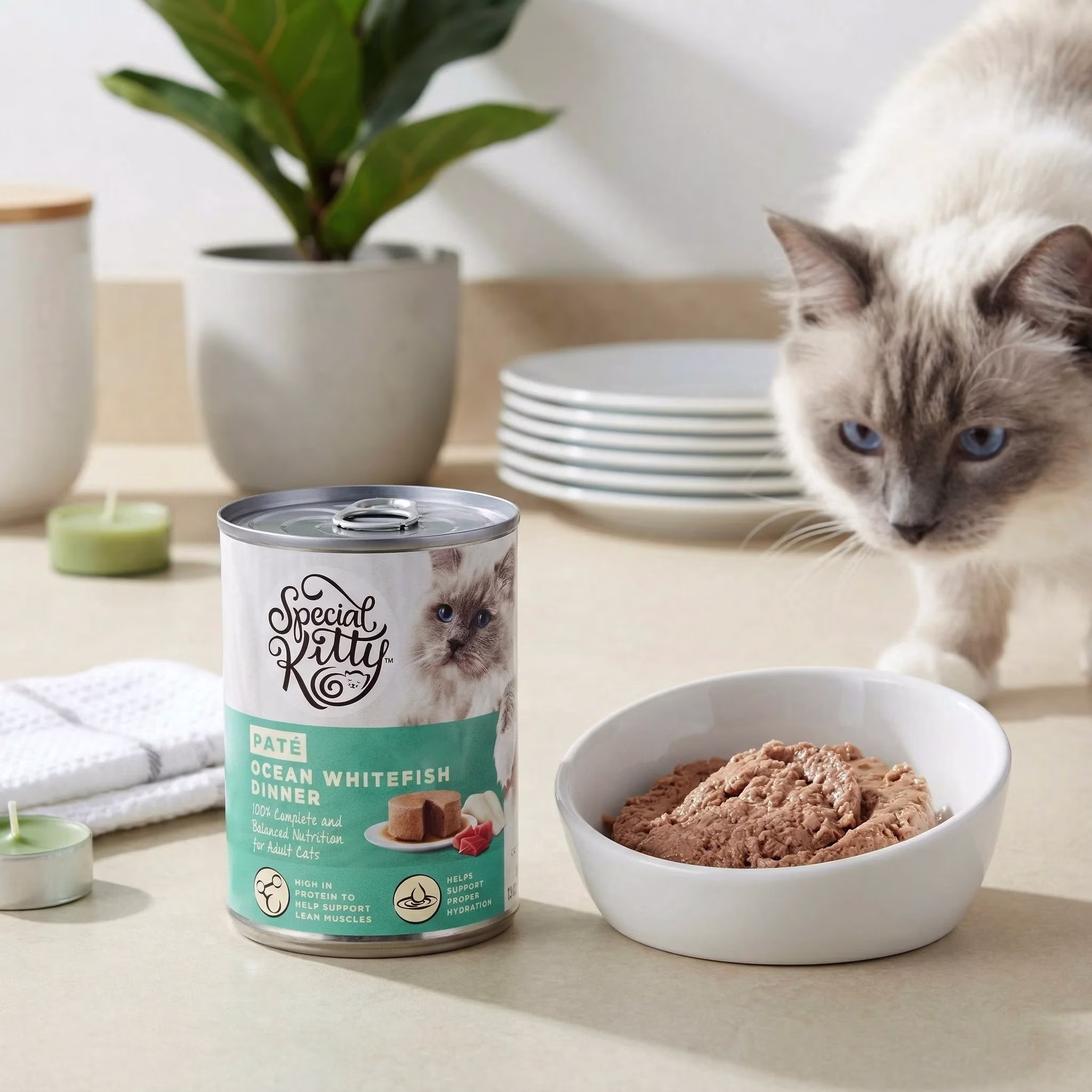 Special Kitty Ocean Whitefish Dinner Pate Wet Cat Food, 13 oz Can