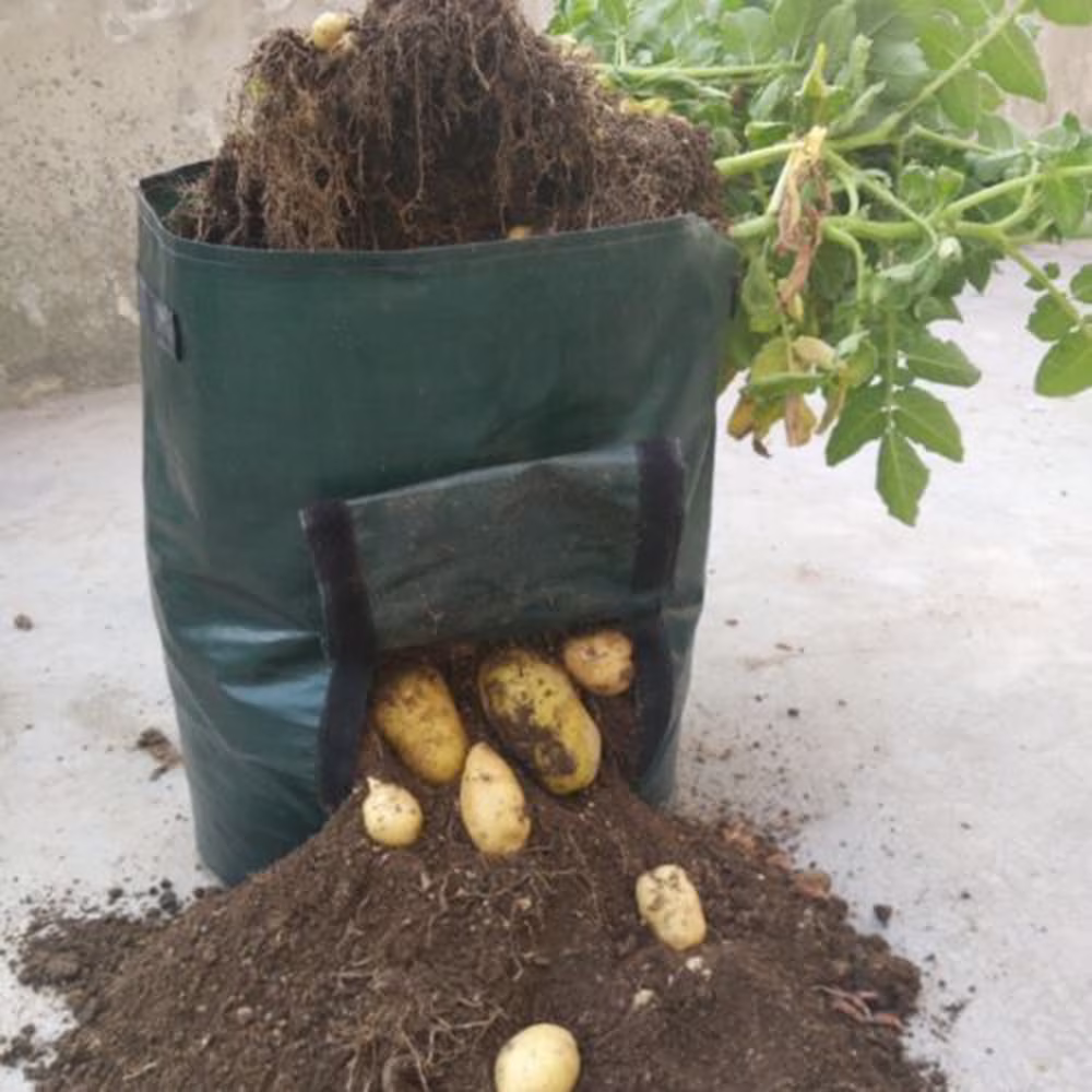 Hvmvliv Potato Grow Bag Heavy Duty PE Fabric Fruit Planter Pot with Side Window
