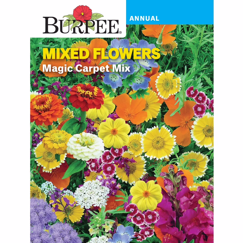 Burpee Magic Carpet Mix Portulaca Mixed Flower Seed, 1-Pack
