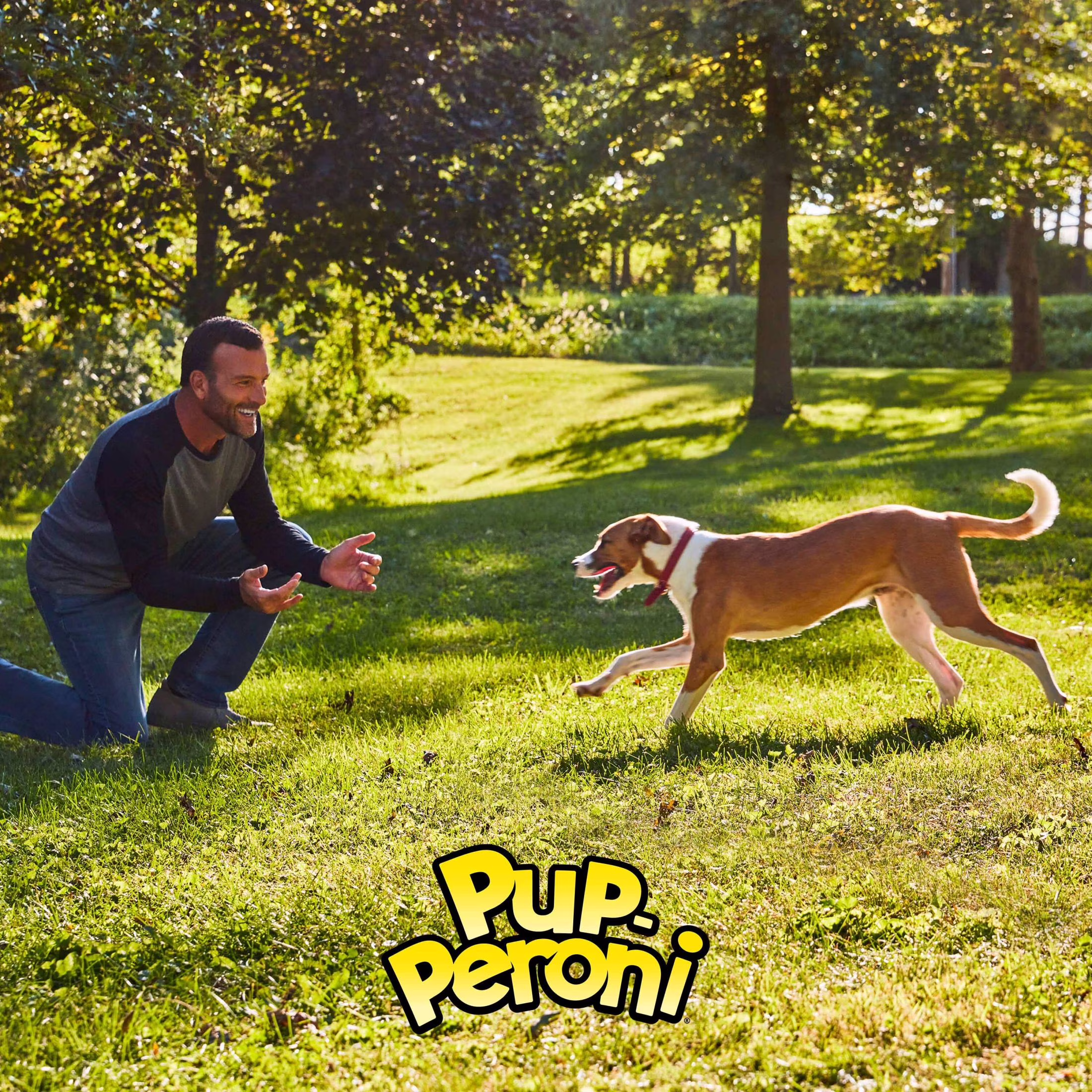 Pup Peroni Mix Stix Dog Treats With Real Beef + Sweet Potato, 5.6 oz Bag